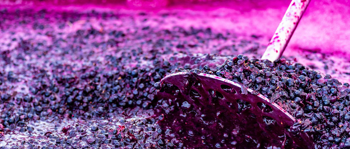 Minimal Intervention, Traditional Winemaking